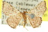  ( - 10ANIC-06188)  @14 [ ] CreativeCommons - Attribution (2010) CBG Photography Group Centre for Biodiversity Genomics