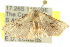  ( - 10ANIC-06201)  @13 [ ] CreativeCommons - Attribution (2010) CBG Photography Group Centre for Biodiversity Genomics