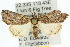  ( - 10ANIC-06378)  @14 [ ] CreativeCommons - Attribution (2010) CBG Photography Group Centre for Biodiversity Genomics