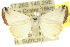  ( - 10ANIC-06524)  @14 [ ] CreativeCommons - Attribution (2010) CBG Photography Group Centre for Biodiversity Genomics