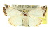  ( - 10ANIC-06525)  @14 [ ] CreativeCommons - Attribution (2010) CBG Photography Group Centre for Biodiversity Genomics