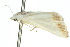  ( - 10ANIC-06527)  @13 [ ] CreativeCommons - Attribution (2010) CBG Photography Group Centre for Biodiversity Genomics