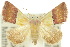  ( - 10ANIC-06758)  @14 [ ] CreativeCommons - Attribution (2010) CBG Photography Group Centre for Biodiversity Genomics
