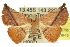  ( - 10ANIC-06795)  @15 [ ] CreativeCommons - Attribution (2010) CBG Photography Group Centre for Biodiversity Genomics