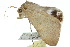  ( - 10ANIC-07200)  @12 [ ] CreativeCommons - Attribution (2010) CBG Photography Group Centre for Biodiversity Genomics