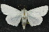  ( - 10ANIC-07560)  @14 [ ] CreativeCommons - Attribution (2010) CBG Photography Group Centre for Biodiversity Genomics
