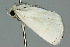  ( - 10ANIC-07565)  @13 [ ] CreativeCommons - Attribution (2010) CBG Photography Group Centre for Biodiversity Genomics