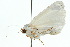 ( - 10ANIC-07568)  @12 [ ] CreativeCommons - Attribution (2010) CBG Photography Group Centre for Biodiversity Genomics