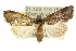  ( - 10ANIC-07645)  @13 [ ] CreativeCommons - Attribution (2010) CBG Photography Group Centre for Biodiversity Genomics