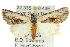  ( - 10ANIC-07658)  @14 [ ] CreativeCommons - Attribution (2010) CBG Photography Group Centre for Biodiversity Genomics