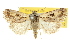  ( - 10ANIC-07864)  @14 [ ] CreativeCommons - Attribution (2010) CBG Photography Group Centre for Biodiversity Genomics