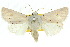  ( - 10ANIC-07895)  @14 [ ] CreativeCommons - Attribution (2010) CBG Photography Group Centre for Biodiversity Genomics
