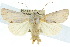  ( - 10ANIC-08092)  @15 [ ] CreativeCommons - Attribution (2010) CBG Photography Group Centre for Biodiversity Genomics