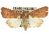  ( - 10ANIC-08098)  @14 [ ] CreativeCommons - Attribution (2010) CBG Photography Group Centre for Biodiversity Genomics