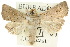  ( - 10ANIC-08101)  @14 [ ] CreativeCommons - Attribution (2010) CBG Photography Group Centre for Biodiversity Genomics