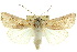 ( - 10ANIC-08150)  @14 [ ] CreativeCommons - Attribution (2010) CBG Photography Group Centre for Biodiversity Genomics