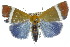  ( - 10ANIC-08463)  @15 [ ] CreativeCommons - Attribution (2010) CBG Photography Group Centre for Biodiversity Genomics
