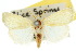  ( - 10ANIC-08544)  @14 [ ] CreativeCommons - Attribution (2010) CBG Photography Group Centre for Biodiversity Genomics