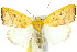  ( - 10ANIC-08556)  @14 [ ] CreativeCommons - Attribution (2010) CBG Photography Group Centre for Biodiversity Genomics