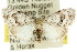  ( - 10ANIC-08741)  @14 [ ] CreativeCommons - Attribution (2010) CBG Photography Group Centre for Biodiversity Genomics