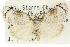  ( - 10ANIC-08756)  @11 [ ] CreativeCommons - Attribution (2010) CBG Photography Group Centre for Biodiversity Genomics