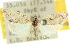  ( - 10ANIC-08784)  @15 [ ] CreativeCommons - Attribution (2010) CBG Photography Group Centre for Biodiversity Genomics