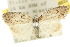  ( - 10ANIC-08833)  @14 [ ] CreativeCommons - Attribution (2010) CBG Photography Group Centre for Biodiversity Genomics
