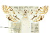  ( - 10ANIC-08971)  @12 [ ] CreativeCommons - Attribution (2010) CBG Photography Group Centre for Biodiversity Genomics