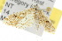  ( - 10ANIC-08989)  @14 [ ] CreativeCommons - Attribution (2010) CBG Photography Group Centre for Biodiversity Genomics