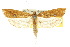  ( - 10ANIC-08998)  @14 [ ] CreativeCommons - Attribution (2010) CBG Photography Group Centre for Biodiversity Genomics