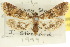  ( - 10ANIC-09009)  @11 [ ] CreativeCommons - Attribution (2010) CBG Photography Group Centre for Biodiversity Genomics