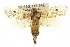  ( - 10ANIC-09151)  @13 [ ] CreativeCommons - Attribution (2010) CBG Photography Group Centre for Biodiversity Genomics