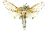  (Zeuzera aeglospila - 10ANIC-09447)  @15 [ ] CreativeCommons - Attribution (2010) CBG Photography Group Centre for Biodiversity Genomics