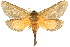  ( - 10ANIC-09510)  @15 [ ] CreativeCommons - Attribution (2010) CBG Photography Group Centre for Biodiversity Genomics