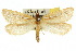  ( - 10ANIC-09587)  @15 [ ] CreativeCommons - Attribution (2010) CBG Photography Group Centre for Biodiversity Genomics