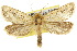  ( - 10ANIC-09623)  @14 [ ] CreativeCommons - Attribution (2010) CBG Photography Group Centre for Biodiversity Genomics