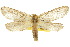  ( - 10ANIC-09626)  @13 [ ] CreativeCommons - Attribution (2010) CBG Photography Group Centre for Biodiversity Genomics