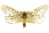  ( - 10ANIC-09651)  @14 [ ] CreativeCommons - Attribution (2010) CBG Photography Group Centre for Biodiversity Genomics