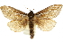 ( - 10ANIC-09719)  @14 [ ] CreativeCommons - Attribution (2010) CBG Photography Group Centre for Biodiversity Genomics