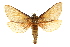  ( - 10ANIC-09802)  @13 [ ] CreativeCommons - Attribution (2010) CBG Photography Group Centre for Biodiversity Genomics