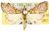  ( - 10ANIC-10003)  @13 [ ] CreativeCommons - Attribution (2010) CBG Photography Group Centre for Biodiversity Genomics