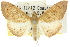  ( - 10ANIC-10029)  @11 [ ] CreativeCommons - Attribution (2010) CBG Photography Group Centre for Biodiversity Genomics