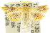  ( - 10ANIC-10043)  @14 [ ] CreativeCommons - Attribution (2010) CBG Photography Group Centre for Biodiversity Genomics