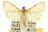  ( - 10ANIC-10056)  @11 [ ] CreativeCommons - Attribution (2010) CBG Photography Group Centre for Biodiversity Genomics