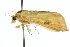  ( - 10ANIC-10090)  @12 [ ] CreativeCommons - Attribution (2010) CBG Photography Group Centre for Biodiversity Genomics