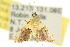  ( - 10ANIC-10223)  @13 [ ] CreativeCommons - Attribution (2010) CBG Photography Group Centre for Biodiversity Genomics