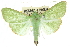  ( - 10ANIC-10694)  @11 [ ] CreativeCommons - Attribution (2010) CBG Photography Group Centre for Biodiversity Genomics