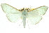  ( - 10ANIC-10706)  @11 [ ] CreativeCommons - Attribution (2010) CBG Photography Group Centre for Biodiversity Genomics
