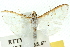 ( - 10ANIC-10716)  @14 [ ] CreativeCommons - Attribution (2010) CBG Photography Group Centre for Biodiversity Genomics