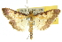  ( - 10ANIC-10904)  @13 [ ] CreativeCommons - Attribution (2010) CBG Photography Group Centre for Biodiversity Genomics